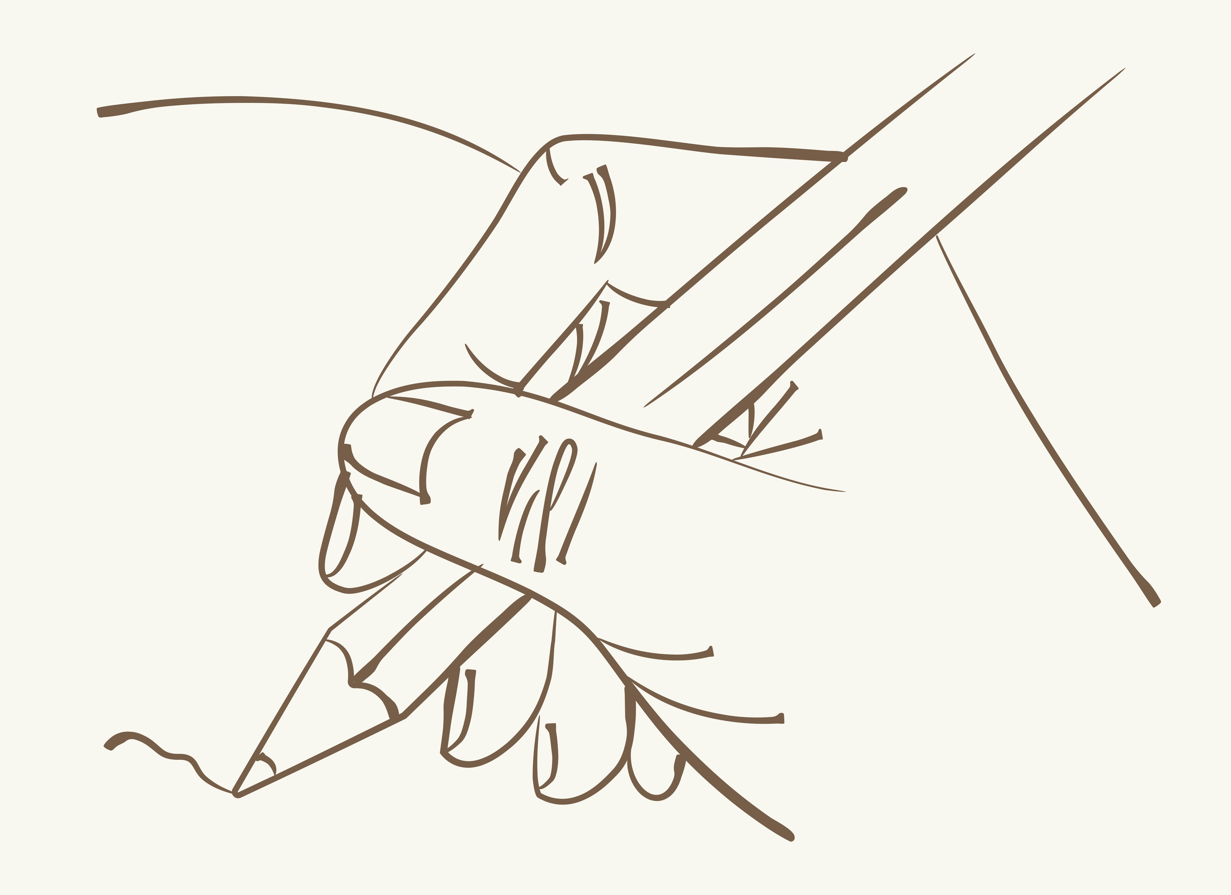 Капітуляція: просте пояснення складного терміна